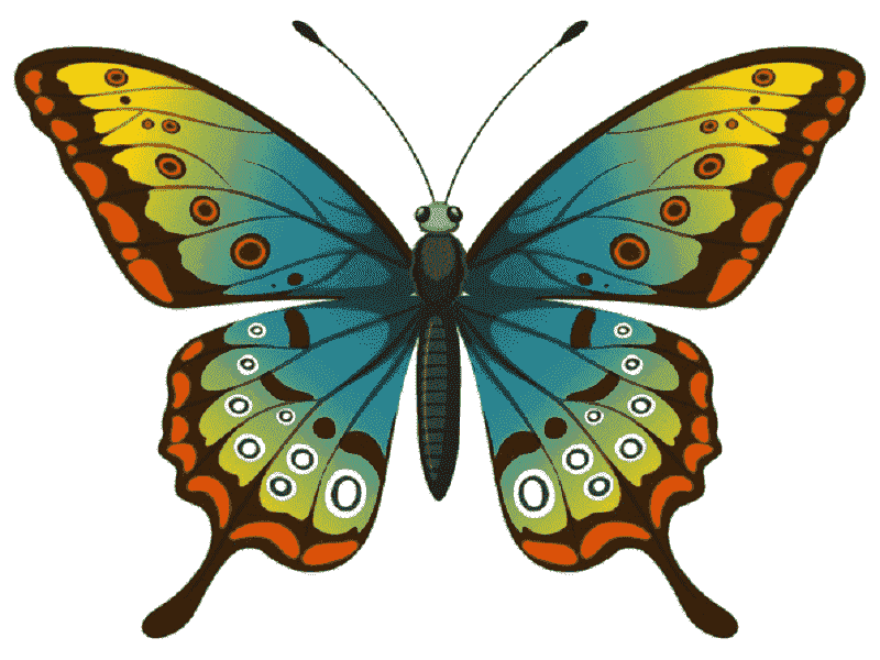 clip art:rmvue89qthc= butterfly