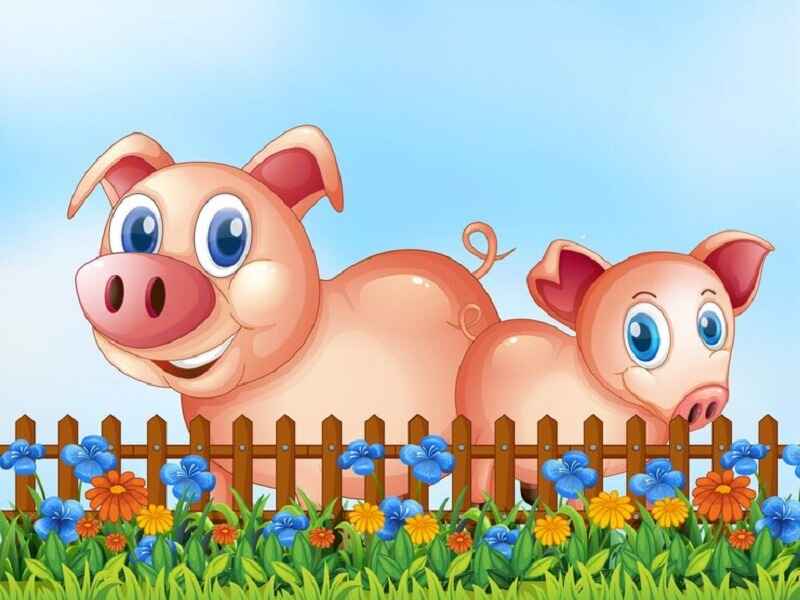 clipart:mxdzqqtke6e= pig