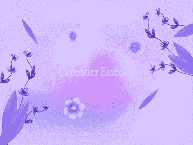 colour:cckmvfcmc3m= lavender: Everything about it