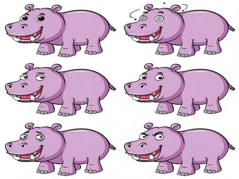 purple:zp0x6zsbgni= hippo